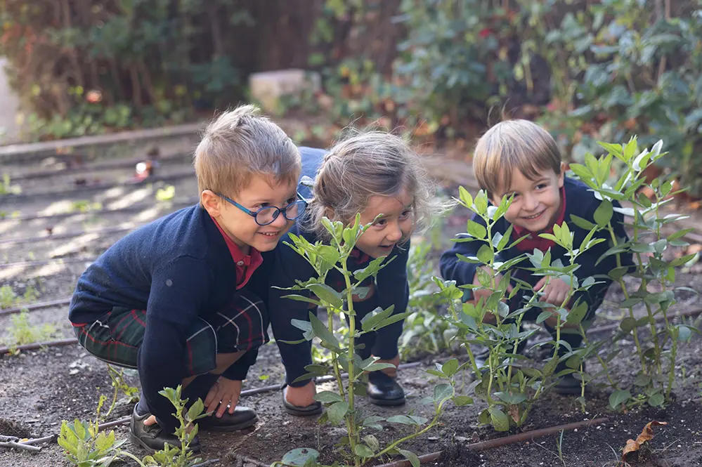 Niños en actividad al aire libre